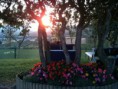 /album/galleria-foto/tramonto-sotto-i-bossi-di-cospaia-jpg/